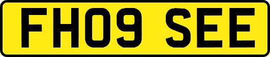 FH09SEE