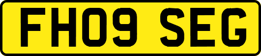 FH09SEG