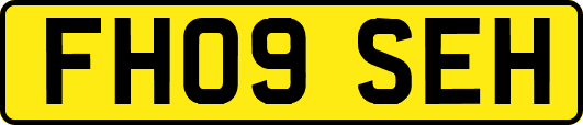 FH09SEH
