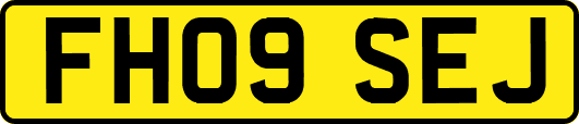 FH09SEJ