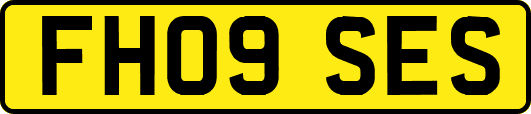 FH09SES