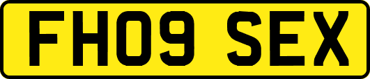 FH09SEX