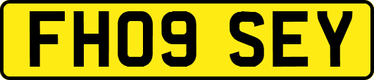 FH09SEY