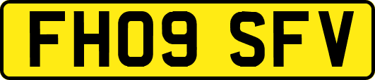 FH09SFV