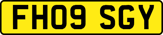 FH09SGY