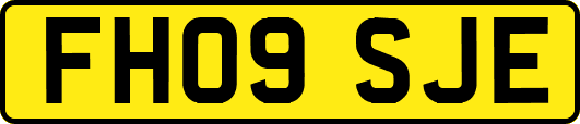 FH09SJE