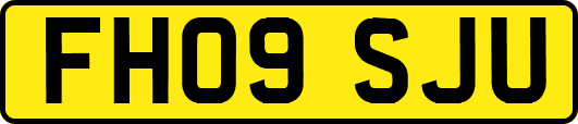 FH09SJU