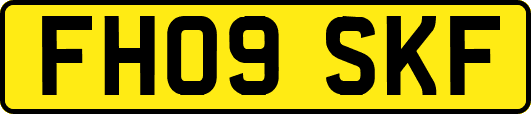 FH09SKF