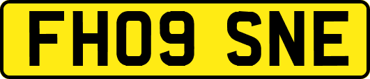 FH09SNE