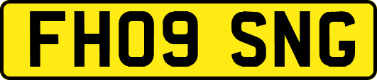 FH09SNG