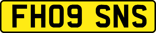 FH09SNS