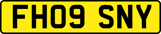 FH09SNY