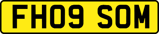 FH09SOM