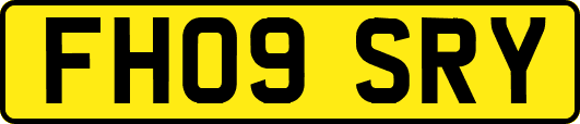 FH09SRY