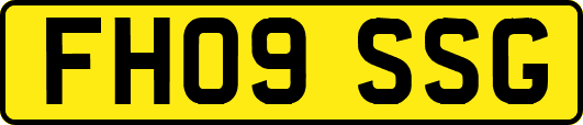 FH09SSG