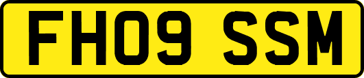 FH09SSM