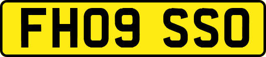 FH09SSO