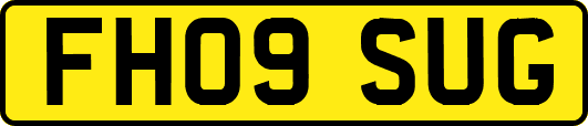 FH09SUG