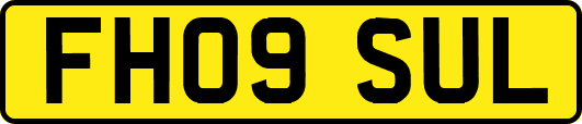 FH09SUL