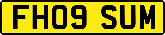 FH09SUM