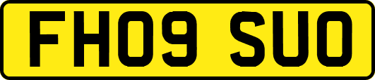 FH09SUO