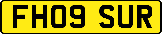 FH09SUR