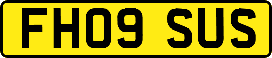 FH09SUS