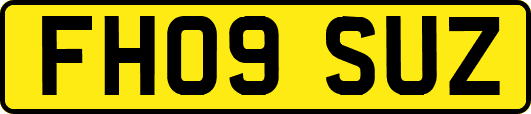 FH09SUZ