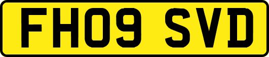 FH09SVD