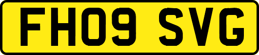 FH09SVG