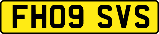 FH09SVS
