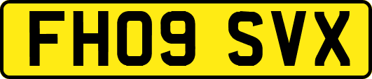 FH09SVX