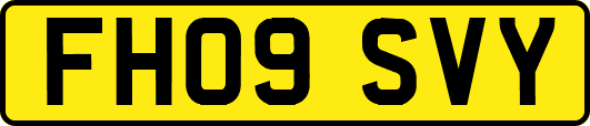 FH09SVY