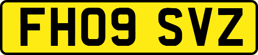 FH09SVZ