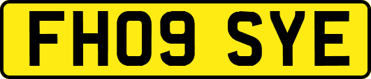 FH09SYE
