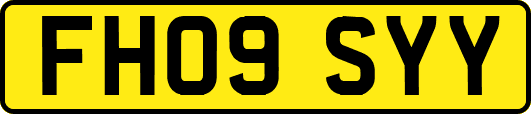 FH09SYY