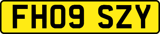 FH09SZY