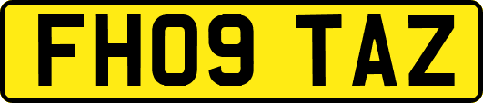 FH09TAZ