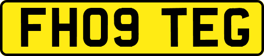 FH09TEG