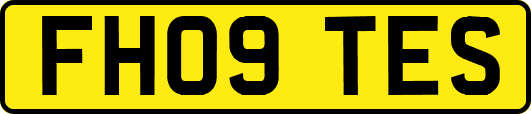 FH09TES
