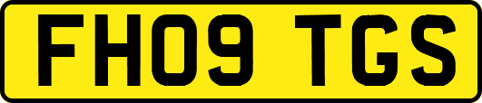 FH09TGS