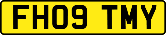 FH09TMY