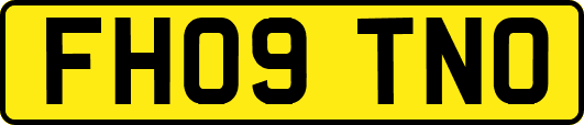 FH09TNO