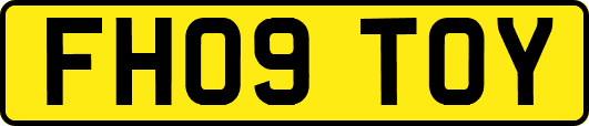 FH09TOY