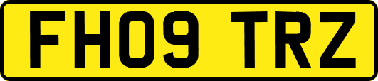 FH09TRZ