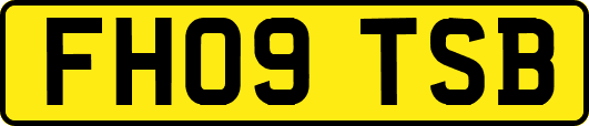 FH09TSB