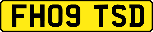 FH09TSD