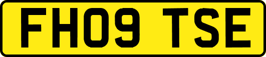 FH09TSE