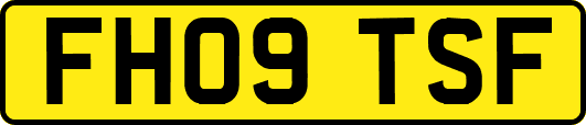 FH09TSF