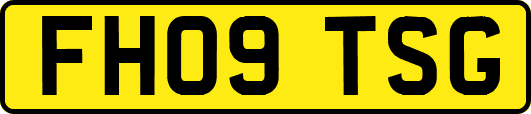 FH09TSG